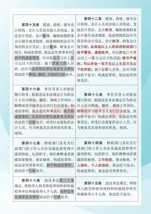 中华人民共和国会计法释义:第十六条