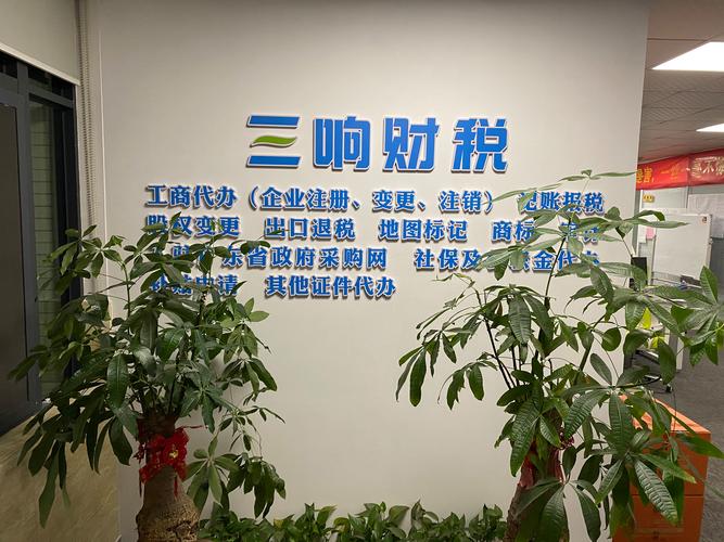 代理记账公司的业务范围有哪些