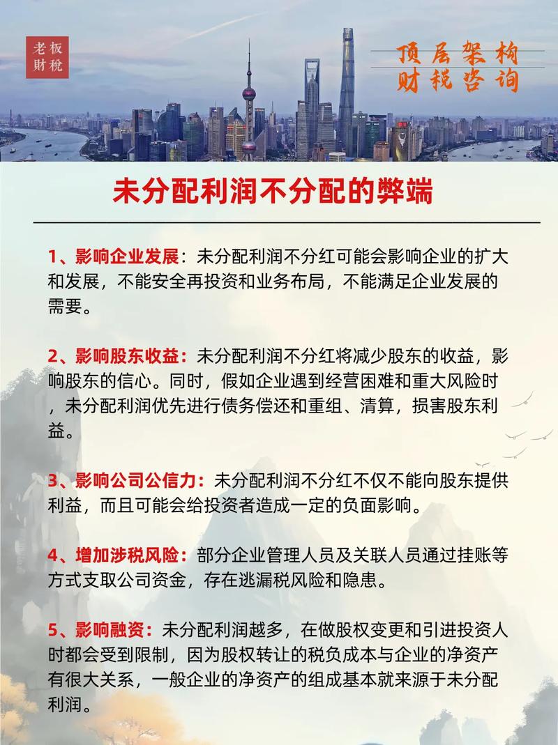 未分配利润包括什么