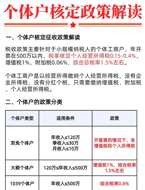 个体户性质的一般纳税人是什么意思