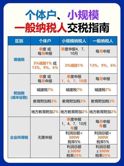 一般纳税人的解释(一般纳税人什么意思)