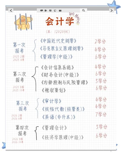 零基础会计从哪里开始学(零基础会计自学经验)